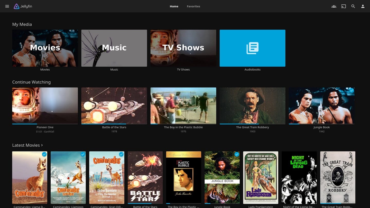 Jellyfin screenshot 1 of 3